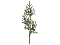 Ветка еловая Berry Branch 953910